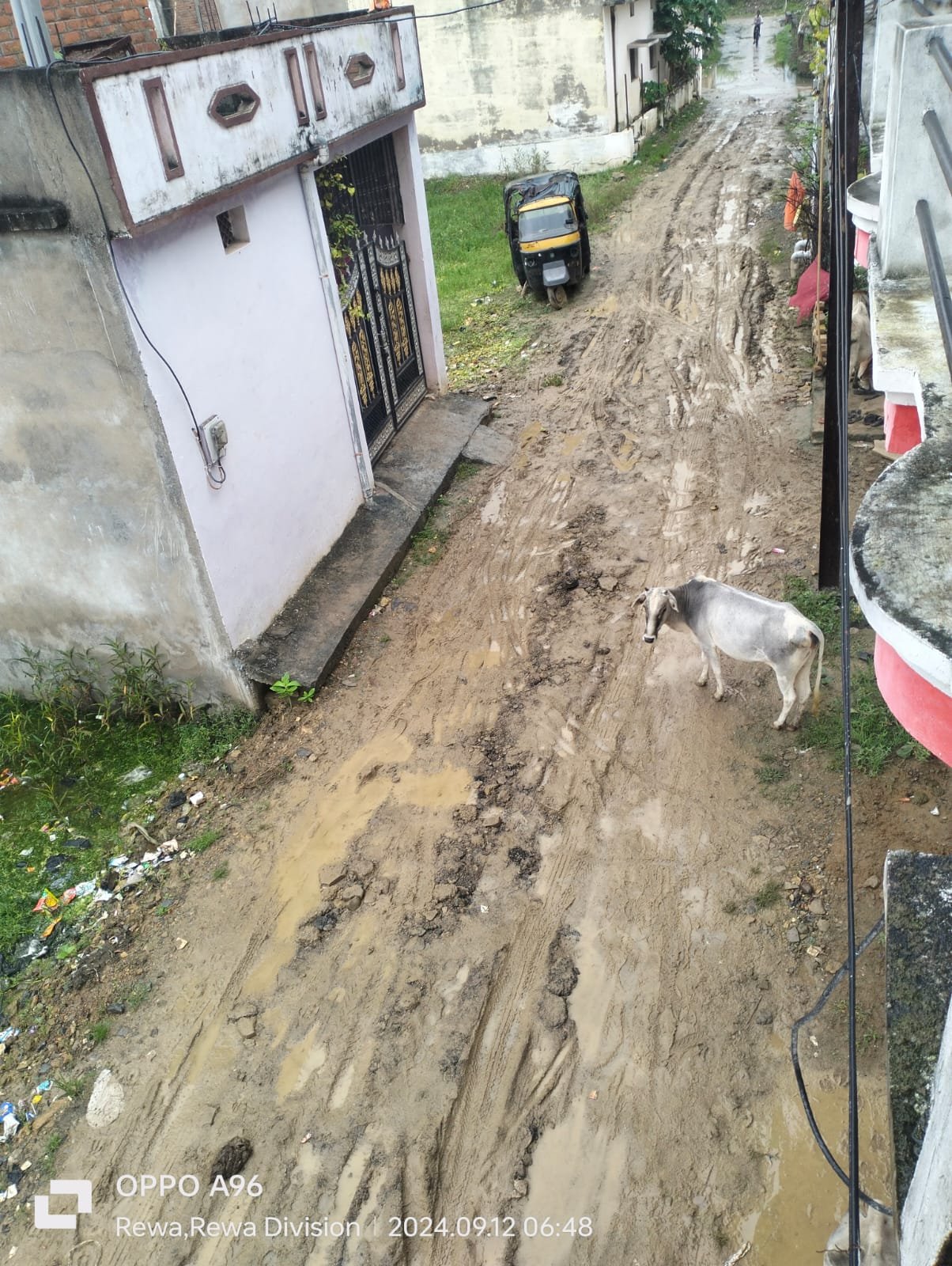 साहब:- मैंने प्लांट लिया, पर उसमें जाऊं कैसे..?भूमाफिया का अनोखा मामला आया सामने जमीन बिकी पर रास्ता नहींअब भटक रहा खरीददार, होमगार्ड आफिस के समीप का मामला