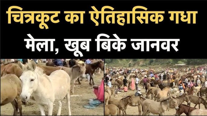 चित्रकूट में गधों का मेला  परंपरा, मेहनतकश पशुओं का सम्मान और रंगीन बाजार का संगम