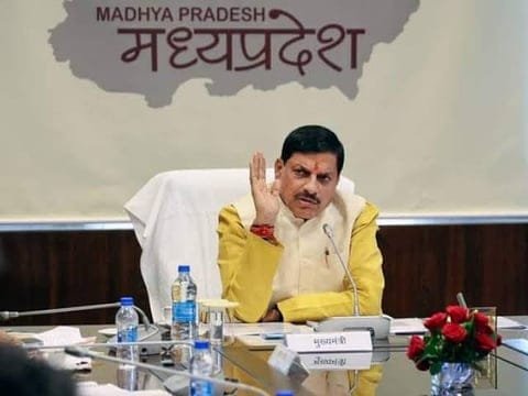 वन विभाग मध्यप्रदेश का सियासी अखाड़ा, सत्ता समीकरण और मंत्री बदलने का खेल