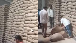 गोदाम की चाबी दे देंगे पर सरकार के साथ काम नहीं करेंगे