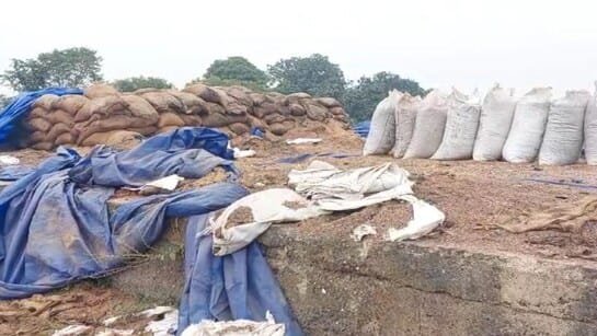 धान चुराने बनाई गैंग, फाइनेंस कर वाहन भी खरीदा, पहली ही चोरी में पकड़े गए