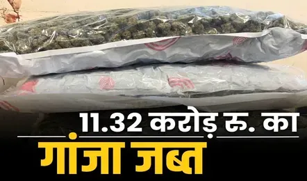 मुंबई एयरपोर्ट पर 11 करोड़ रुपये से अधिक का गांजा जब्त, एक गिरफ्तार