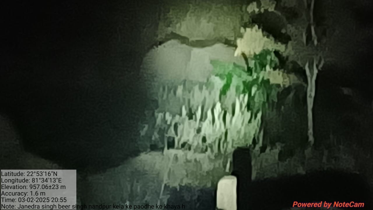 वन, आस्था और संकट जब हाथियों ने गणेश मंदिर में किए दर्शन