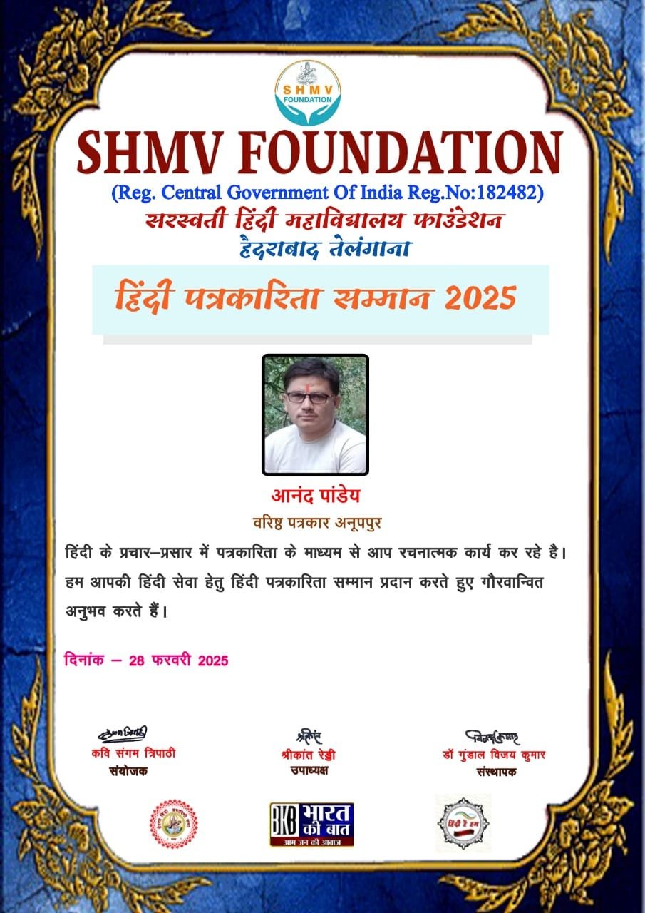 आनंद पाण्डेय को हिंदी पत्रकारिता सम्मान 2025 से किया गया सम्मानित