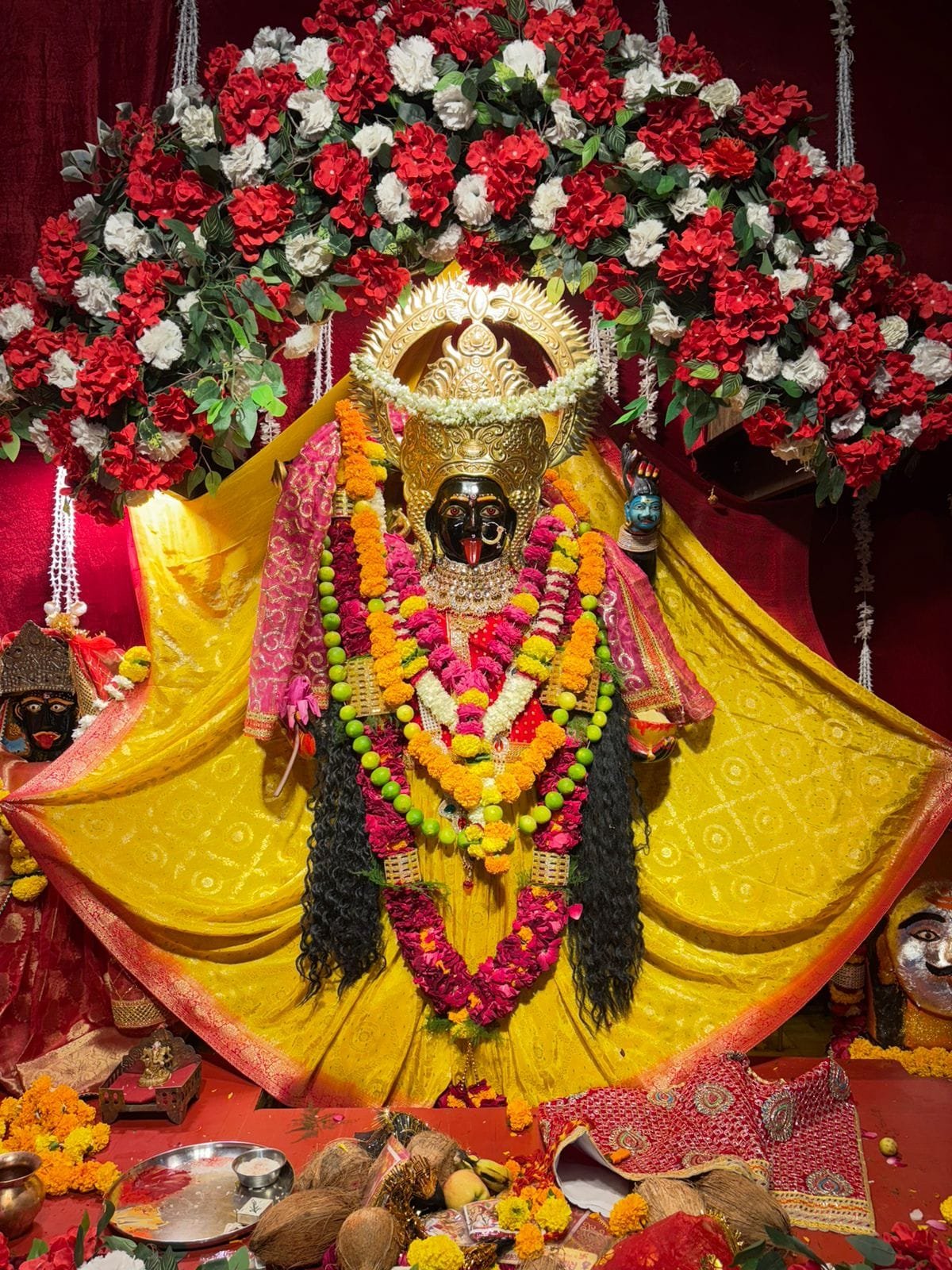 श्री कालकाधाम अन्नक्षेत्र सेवार्थ नैवेद्यम — माँ की थाली के सफल तीन वर्ष पूर्ण