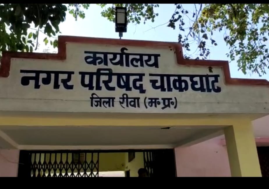 सीएमओ के.एन. सिंह का बड़ा एक्शन — नगर परिषद अध्यक्ष के भ्रष्टाचार पर कसी लगाम, 14 फर्जी दैनिक मास्टर श्रमिक बाहर