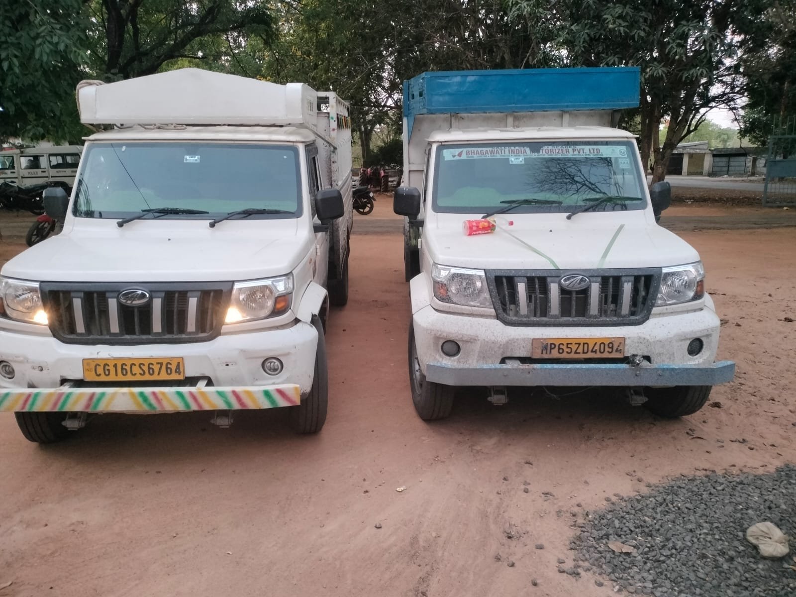 भालूमाड़ा पुलिस की बड़ी कार्रवाई&nbsp; 14 मवेशियों से भरी दो पिकअप जब्त, पशु तस्कर जंगल का फायदा उठाकर फरार